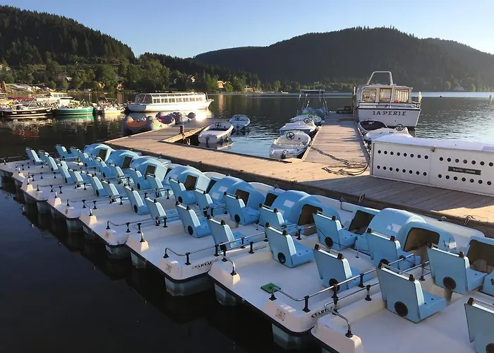 Rochire Location 1 아파트 제라르메르