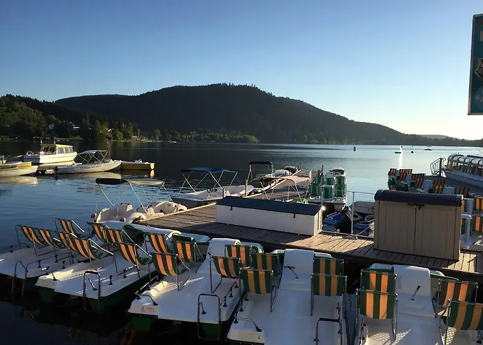 Rochire Location 1 Gérardmer