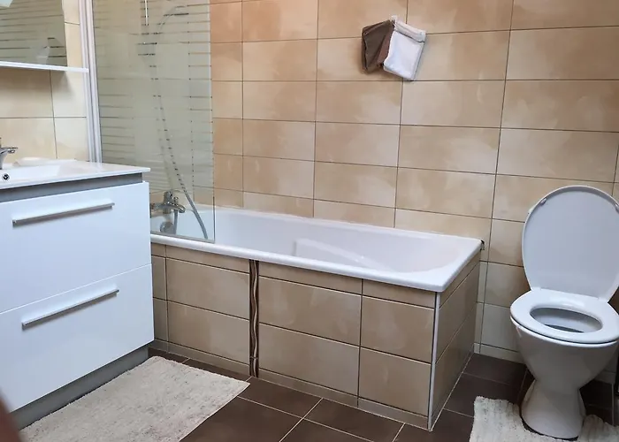 Appartement Rochire Location 1